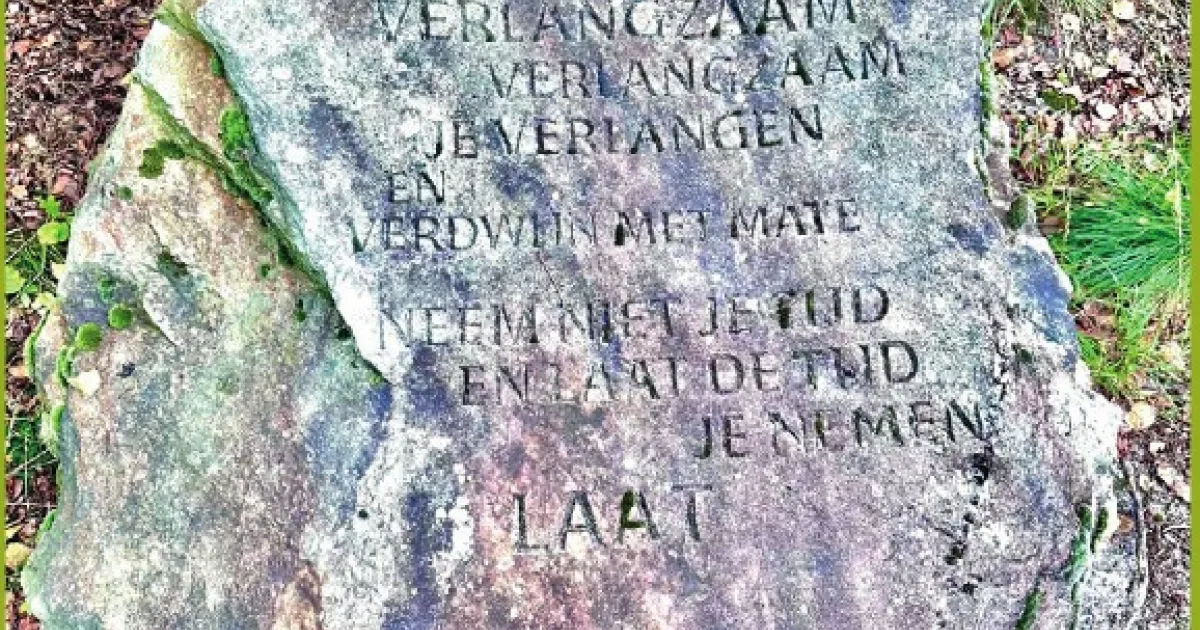 Uitleiding — verlangzamen is ook vooruitgaan